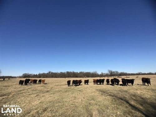 How do you lease land for cattle pasture?