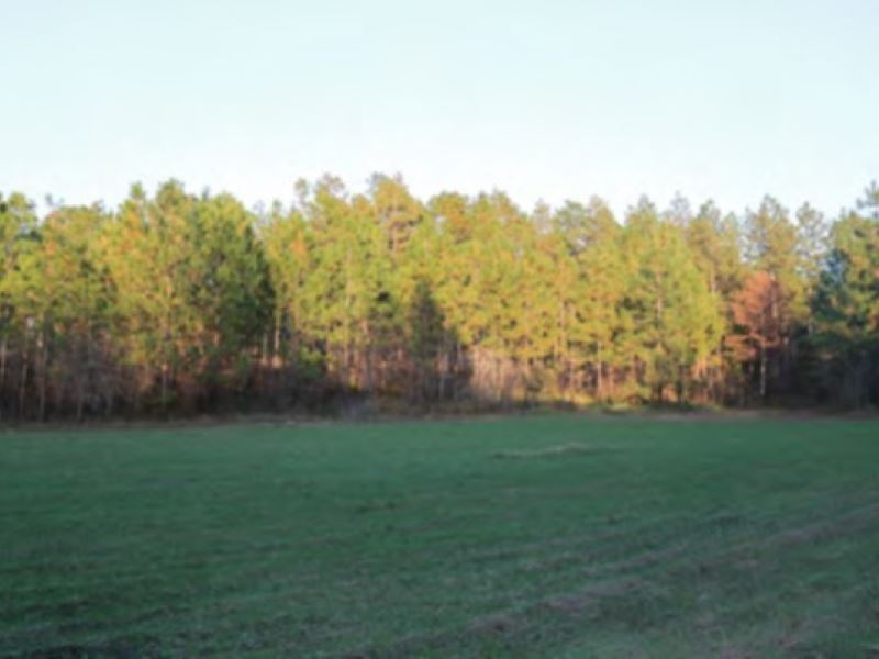 784 Acres In Lamar County, Ms : Land for Sale : Purvis ...