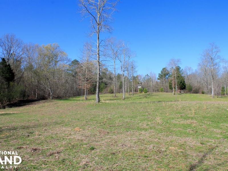 Brush Creek Hunting Tract : Land for Sale : Sulligent ...