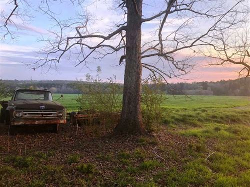 Lamar County Alabama Land for Sale : LANDFLIP