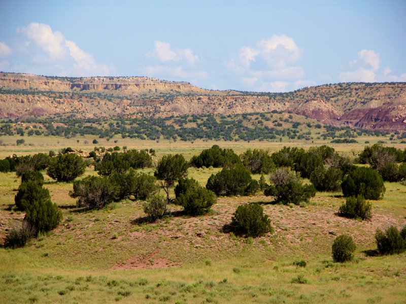 140 Acre Wilderness Ranch : Datil : Catron County : New Mexico